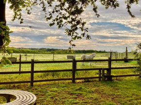 Nestled between Walberswick and Southwold